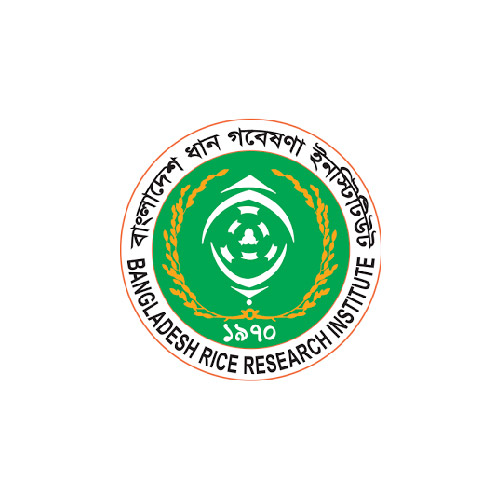 BRRI